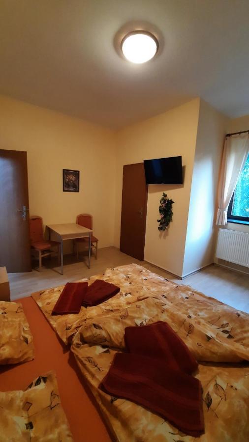 Penzion U Statku Lodherov Экстерьер фото